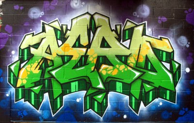 aeroarts animalgraff animalgraff graffiti mural artist