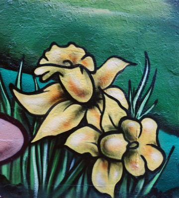 aeroarts animalgraff graffiti mural artist