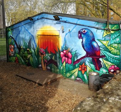 wildlife graffiti mural workshop